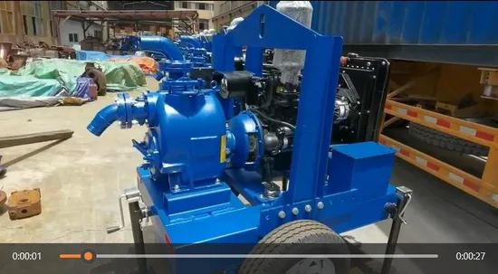 Horizontal Industrial Chemical Sewage Water Self