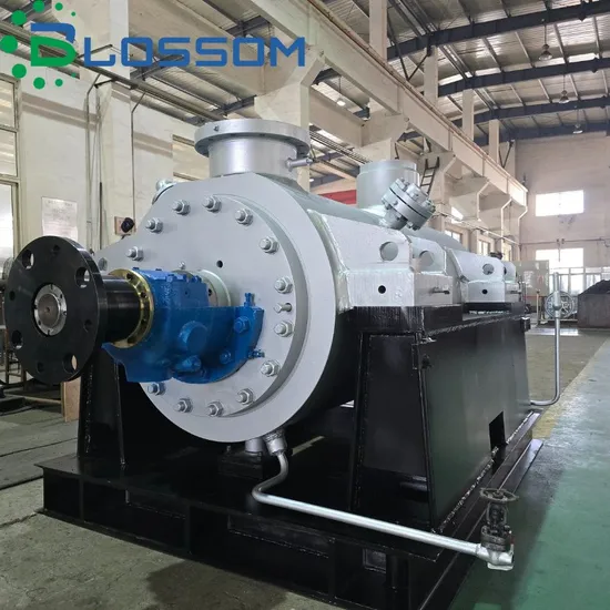 API610 Multistage Double Shell Boiler Feed Water Pump for Chemical Process for Power Plant 