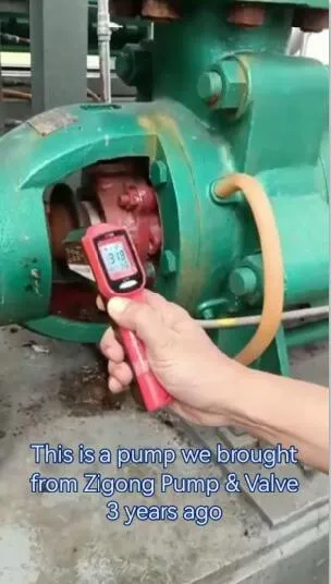 Horizontal Multistage Centrifugal Pump/Boiler Feed Pump 